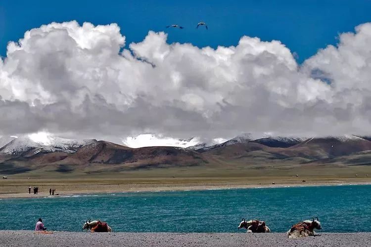 Tibet: Where there is faith is heaven!