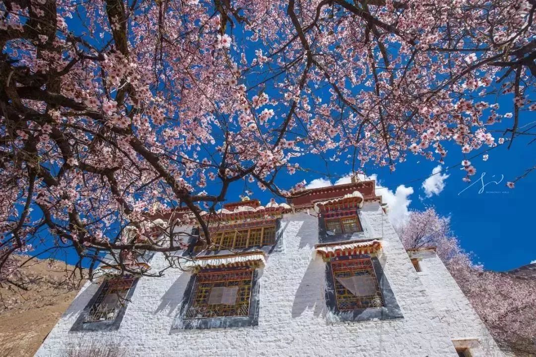 Tibet: Where there is faith is heaven!