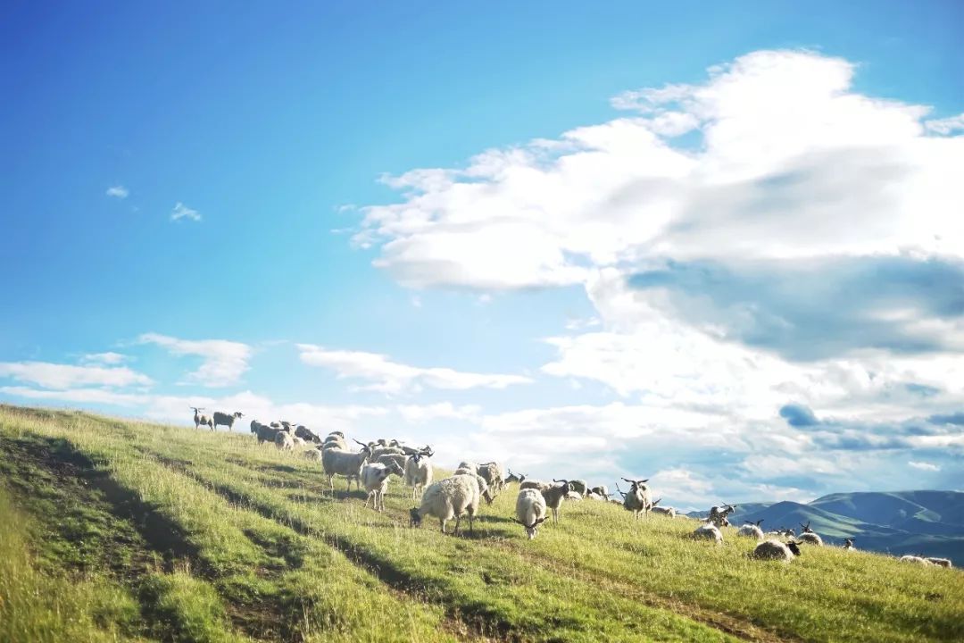 Northern Xinjiang and Qinghai: 60° temperature difference against seasons, solution to satisfy vanity and consume annual leave