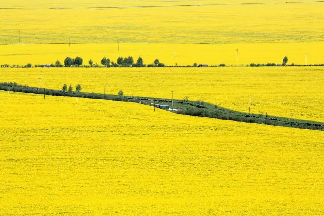 The most beautiful Grand Ring Road in summer in China, you can see all kinds of scenery at once!