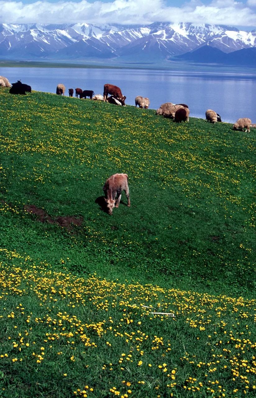 Only when you go to northern Xinjiang do you know how big China is; only when you go to southern Xinjiang do you know how beautiful China is