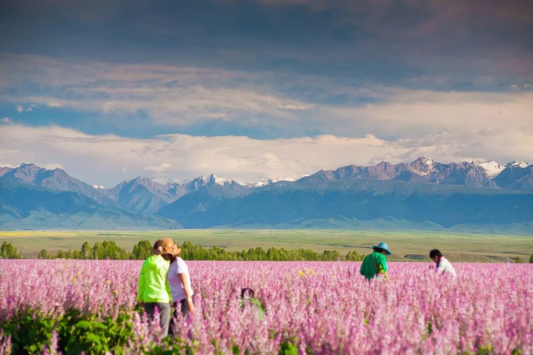 Only when you go to northern Xinjiang do you know how big China is; only when you go to southern Xinjiang do you know how beautiful China is