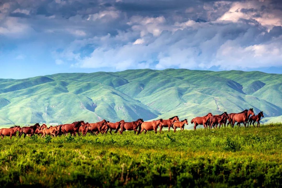 Only when you go to northern Xinjiang do you know how big China is; only when you go to southern Xinjiang do you know how beautiful China is