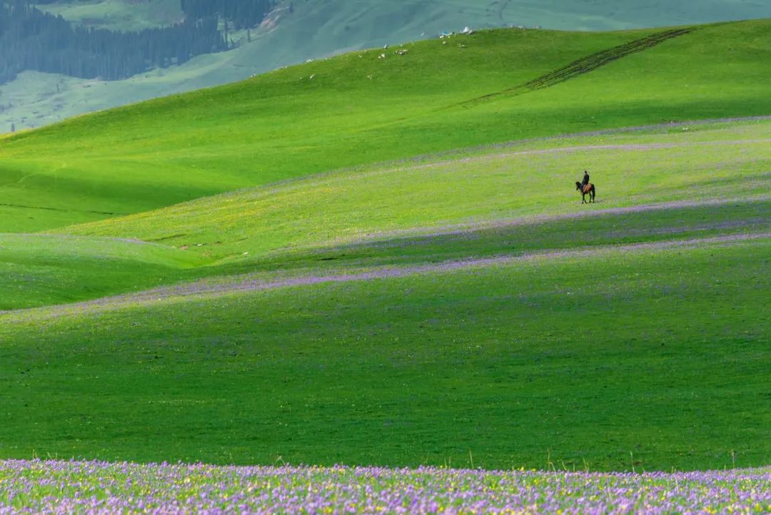 Only when you go to northern Xinjiang do you know how big China is; only when you go to southern Xinjiang do you know how beautiful China is