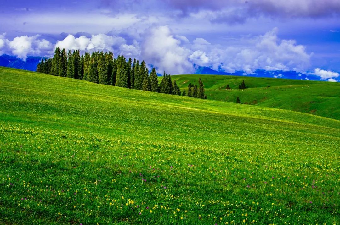 Only when you go to northern Xinjiang do you know how big China is; only when you go to southern Xinjiang do you know how beautiful China is