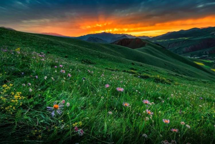 Thousands of mu of flowers, the beautiful Emerald Lake, this most popular loop line will satisfy you with everything about the Northwest