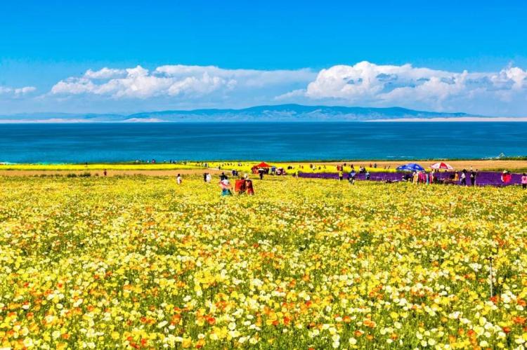 Thousands of mu of flowers, the beautiful Emerald Lake, this most popular loop line will satisfy you with everything about the Northwest