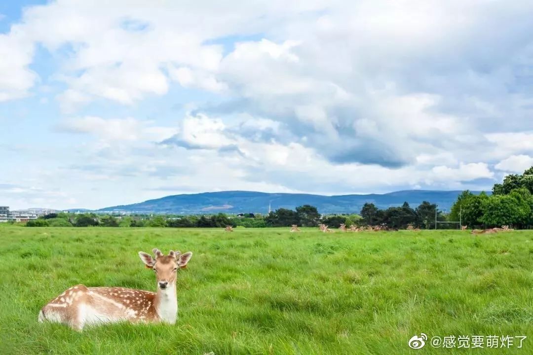 Five-year multiple-entry visas are open to China! This happy country is also where Tang Yixin and Zhang Ruoyun got married!