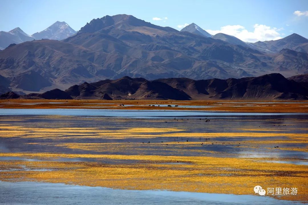 Ngari, Tibet, 9 reasons why you have to go