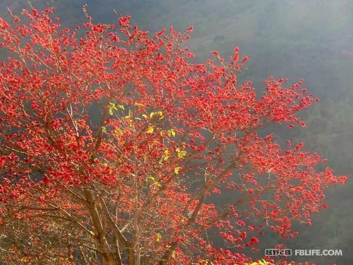 Nujiang Qifeng Valley, Dulongjiang Secret Land Crossing