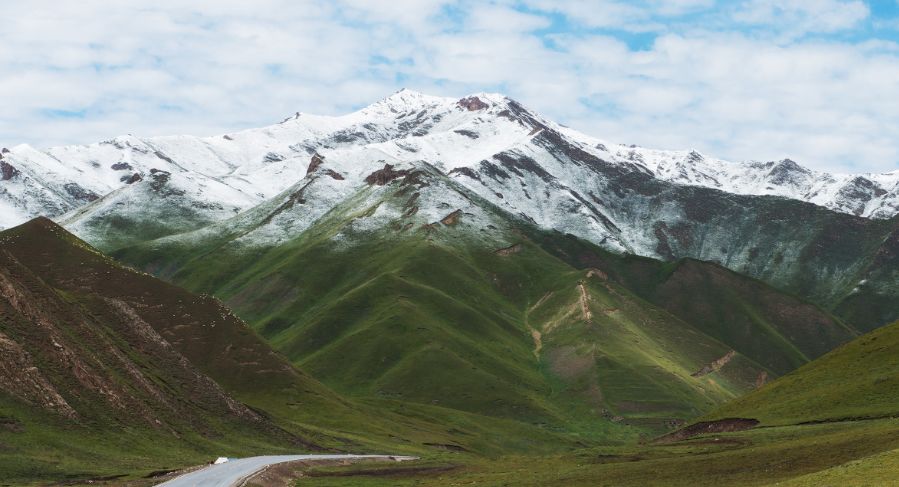 amazing! Qinghai in July!