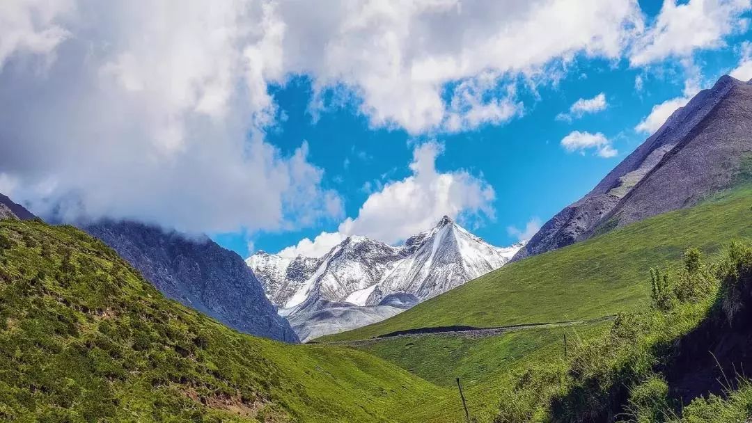 amazing! Qinghai in July!