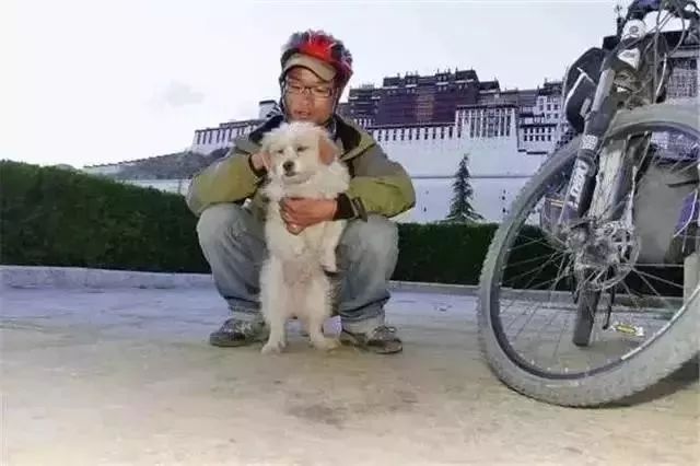 Story丨7 years old! The happy life of the dog who ran 1,800 kilometers into Tibet