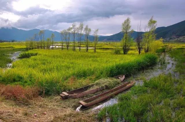 Lugu Lake in July, you can be so beautiful!