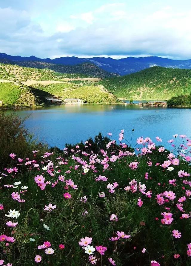 Lugu Lake in July, you can be so beautiful!