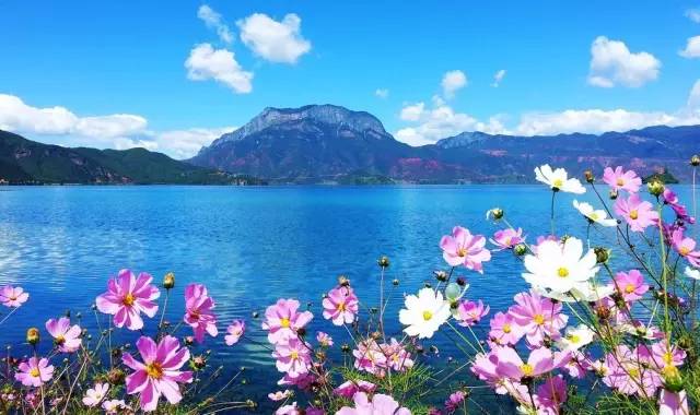 Lugu Lake in July, you can be so beautiful!