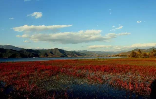 Lugu Lake in July, you can be so beautiful!