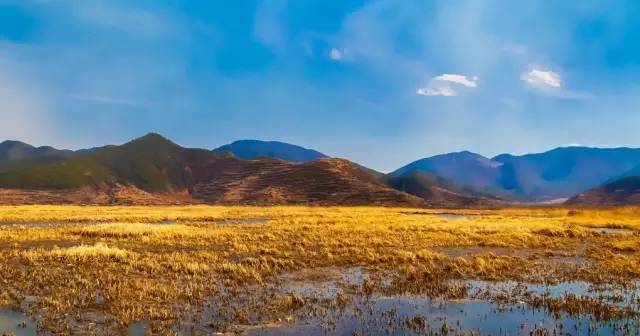 Lugu Lake in July, you can be so beautiful!