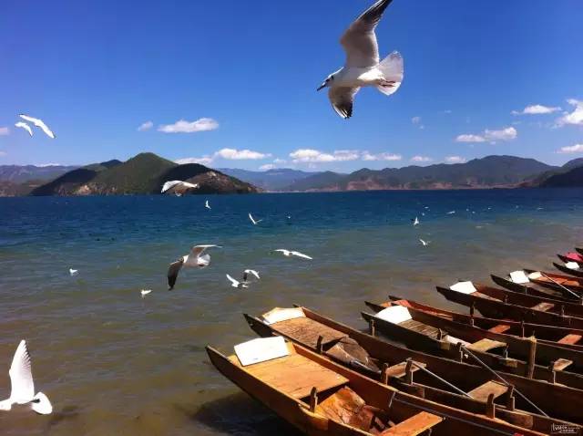 Lugu Lake in July, you can be so beautiful!