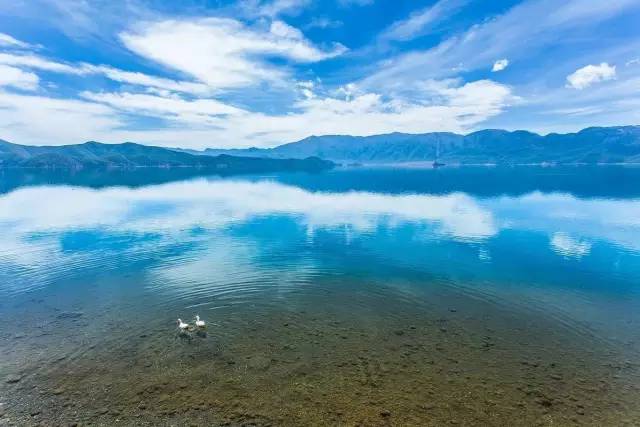 Lugu Lake in July, you can be so beautiful!