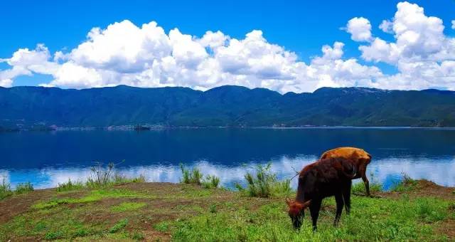 Lugu Lake in July, you can be so beautiful!