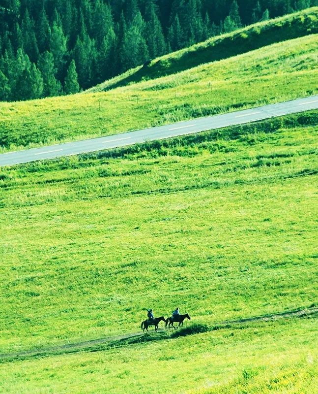 The most American road in Hebei! The world-class landscape corridor is waiting for you