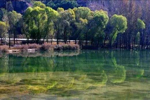 The most American road in Hebei! The world-class landscape corridor is waiting for you