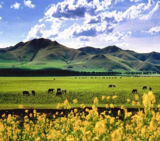 The most American road in Hebei! The world-class landscape corridor is waiting for you