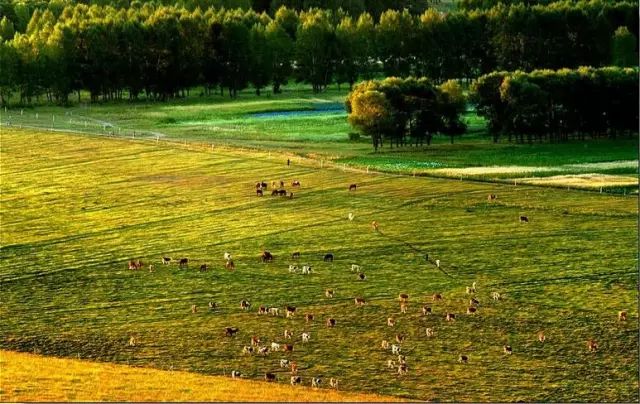 The most American road in Hebei! The world-class landscape corridor is waiting for you