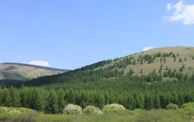 The most American road in Hebei! The world-class landscape corridor is waiting for you