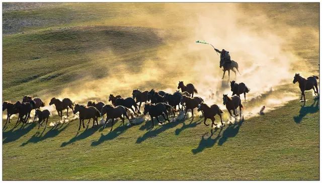 The most American road in Hebei! The world-class landscape corridor is waiting for you