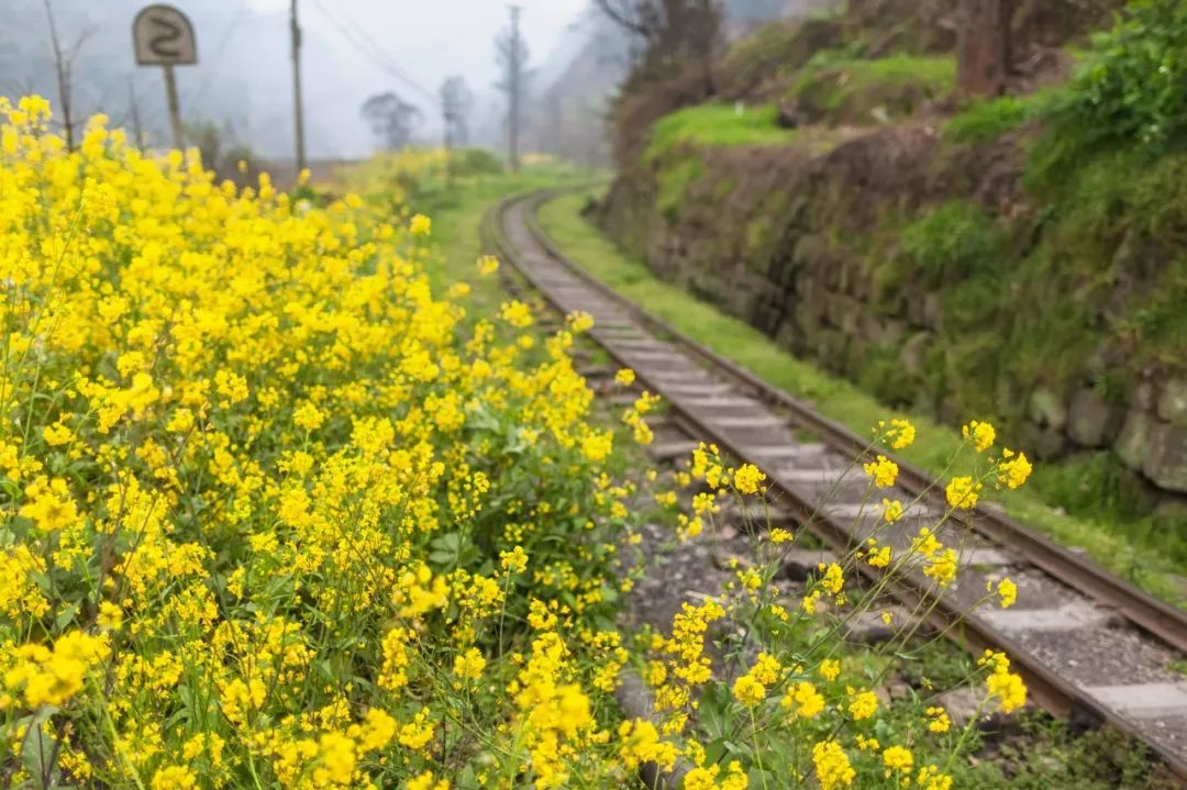 Sichuan, there are 1000 ways to make you fall in love with it