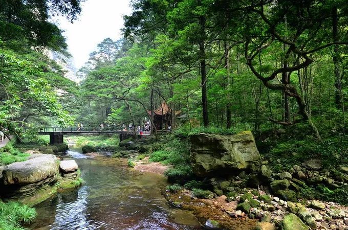 In summer, how can you not go to Zhangjiajie once?