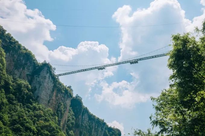 In summer, how can you not go to Zhangjiajie once?