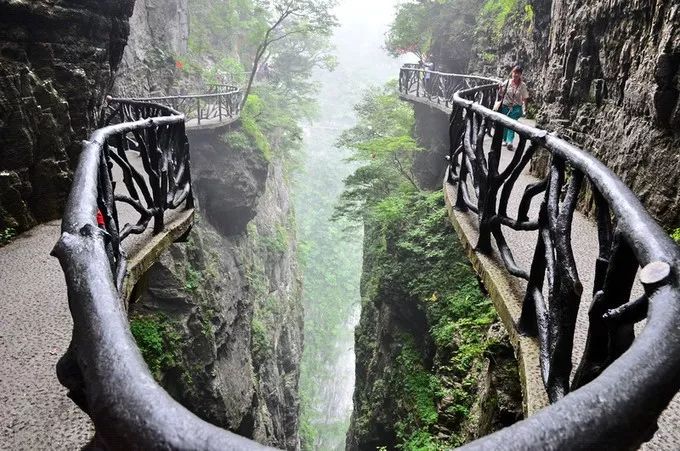 In summer, how can you not go to Zhangjiajie once?