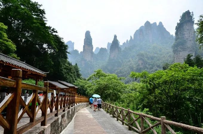 In summer, how can you not go to Zhangjiajie once?