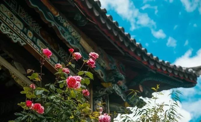 The real poetic town in Yunnan, more beautiful than Dali in Lijiang, can be called a paradise on earth