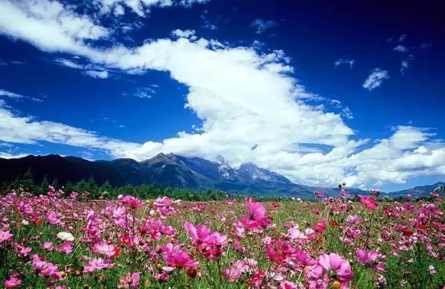 The real poetic town in Yunnan, more beautiful than Dali in Lijiang, can be called a paradise on earth