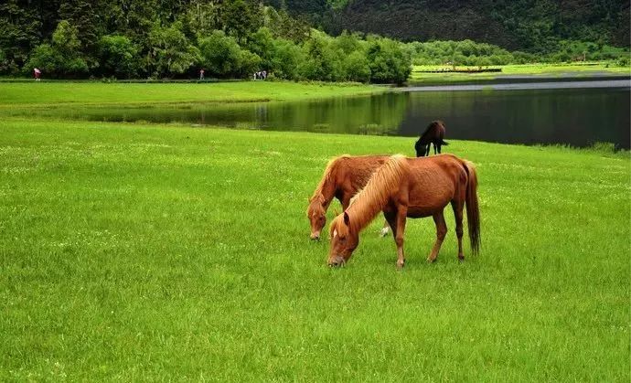 The real poetic town in Yunnan, more beautiful than Dali in Lijiang, can be called a paradise on earth