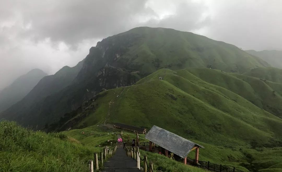 Tigers Walking in the World & Resolute and Resolute Kungfu Mountain Crossing Activities