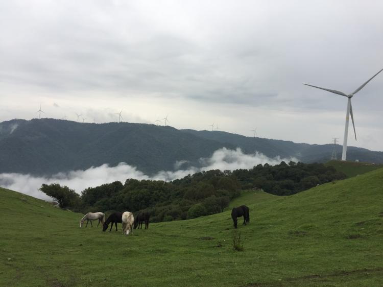 Announcement of the Second Public Welfare and Environmental Protection Camping Activities of Pazhongju Shaanxi Brigade Members