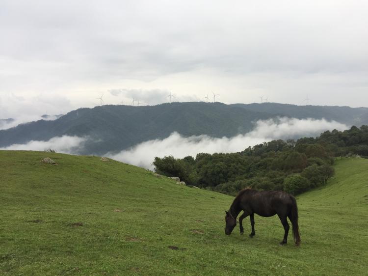 Announcement of the Second Public Welfare and Environmental Protection Camping Activities of Pazhongju Shaanxi Brigade Members