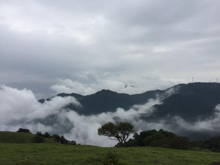 Announcement of the Second Public Welfare and Environmental Protection Camping Activities of Pazhongju Shaanxi Brigade Members