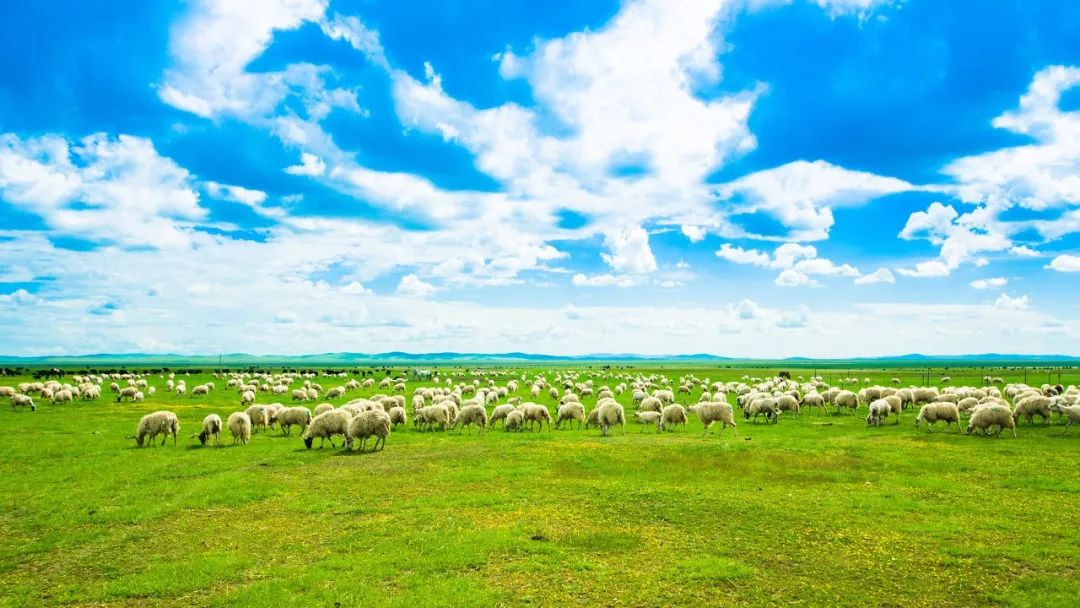 Crossing four provinces and passing hundreds of scenic spots, this stunning National Highway 213, you can enjoy the beauty of half of China once you go there