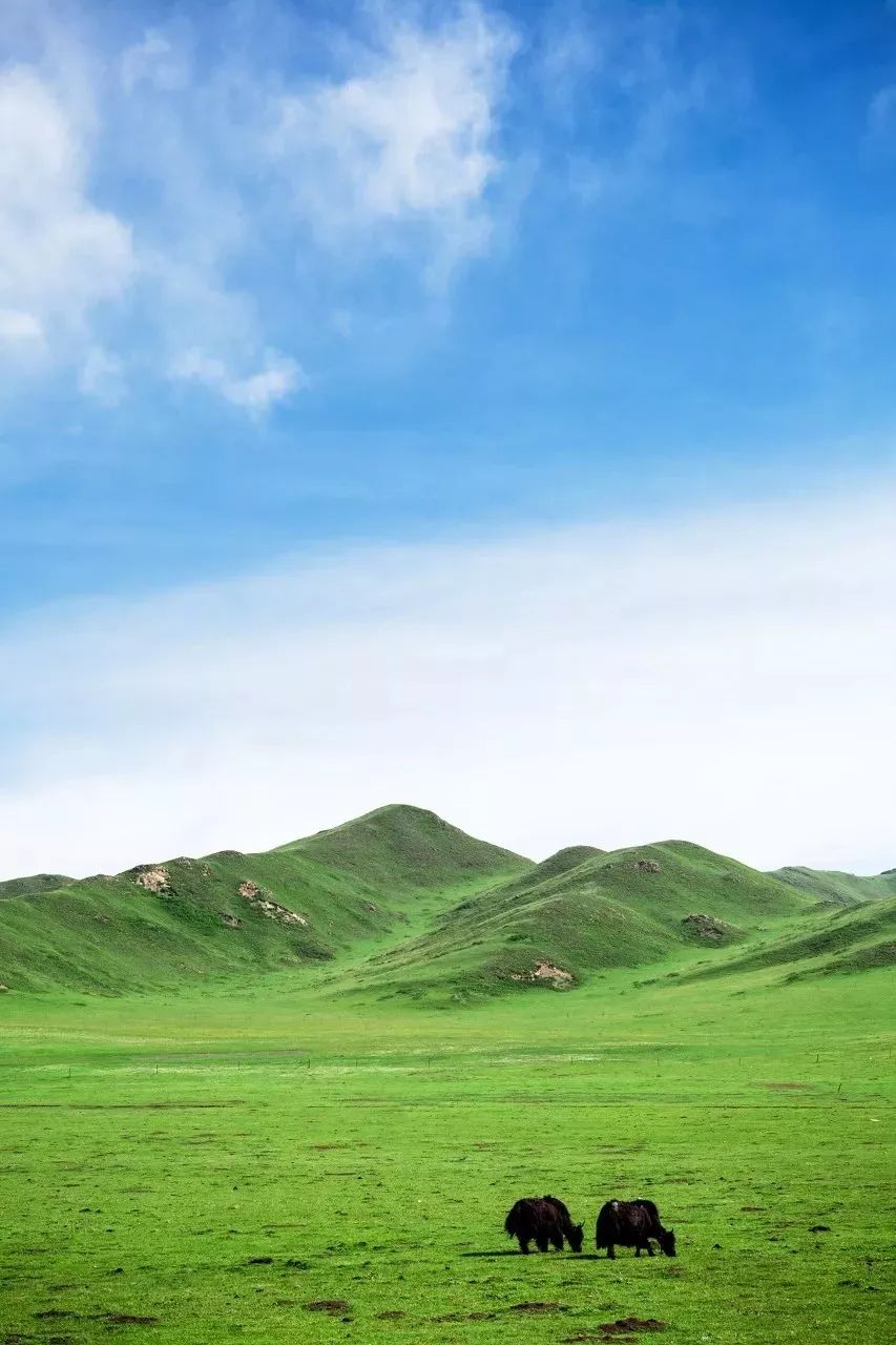 Crossing four provinces and passing hundreds of scenic spots, this stunning National Highway 213, you can enjoy the beauty of half of China once you go there