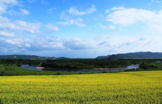 In August, how can you not go to Hulunbuir once?