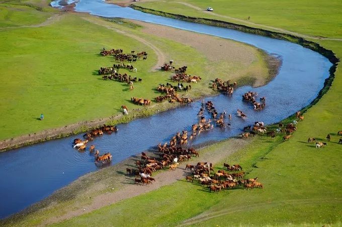 In August, how can you not go to Hulunbuir once?