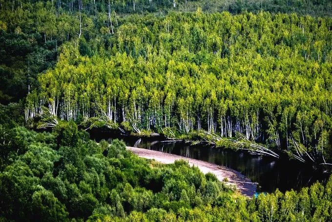 In August, how can you not go to Hulunbuir once?