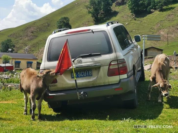 Traveling in Xinjiang | Bring your family and pots and pans, let's go!