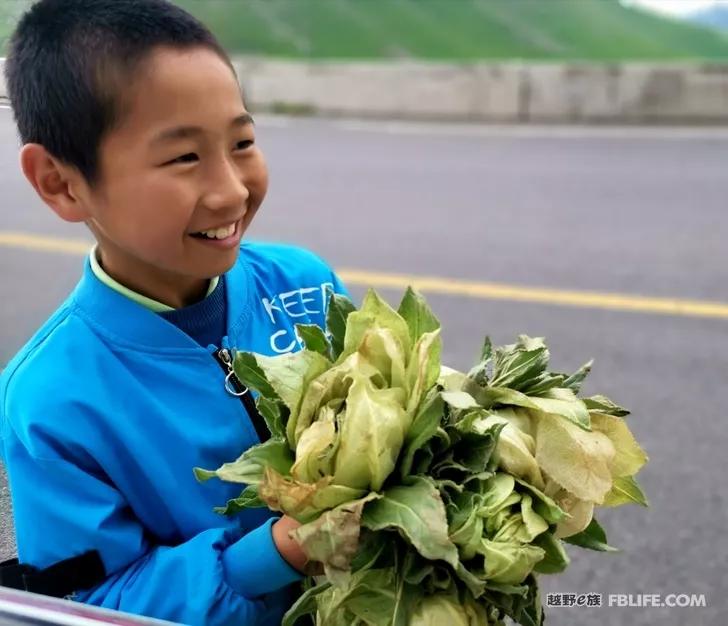 Traveling in Xinjiang | Bring your family and pots and pans, let's go!